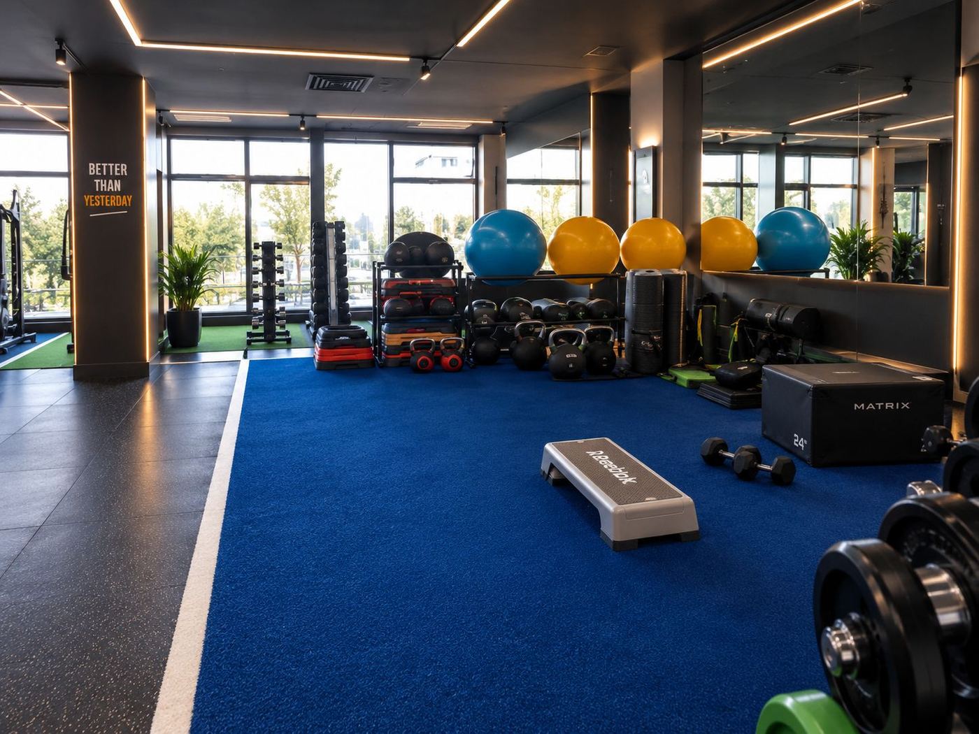 The functional corner: kettlebells, medicine balls and stability balls against the window wall